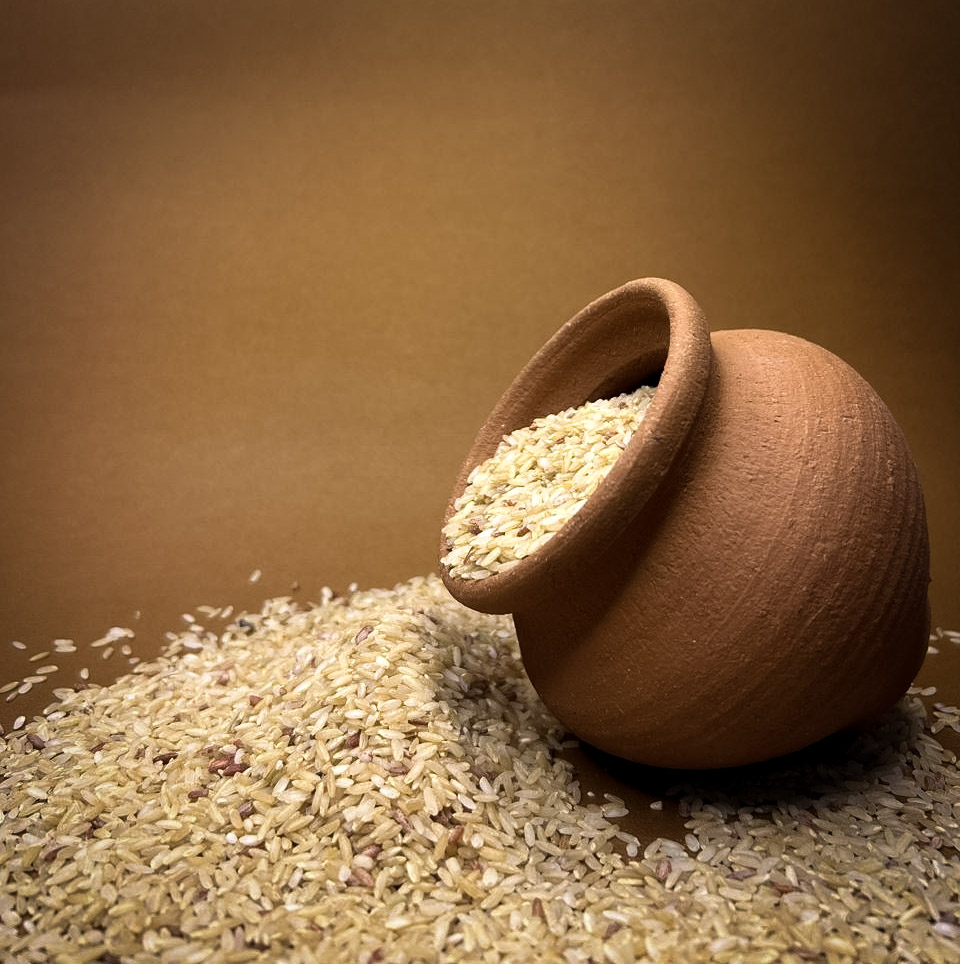 Narayana Kamini - Image 2